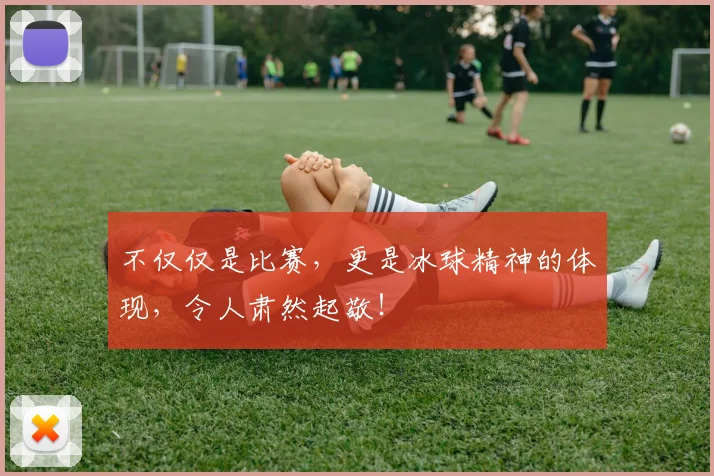 不仅仅是比赛,更是冰球精神的体现,令人肃然起敬!