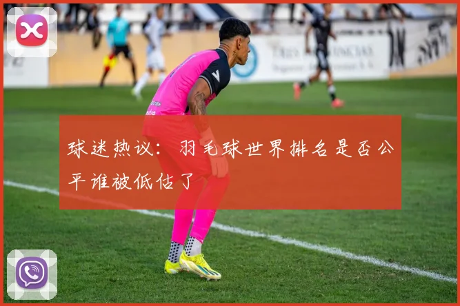 球迷热议:羽毛球世界排名是否公平谁被低估了