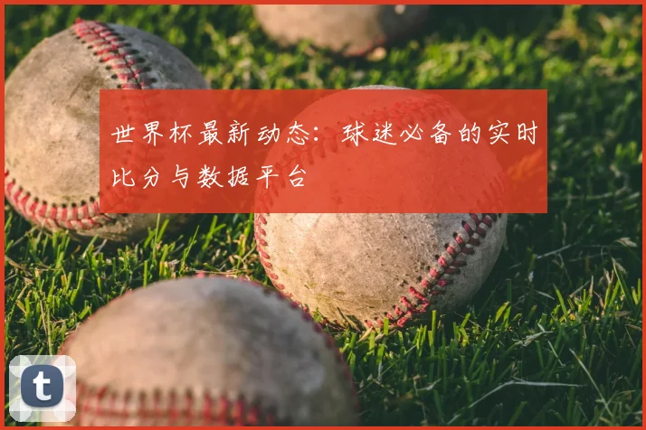 世界杯最新动态:球迷必备的实时比分与数据平台
