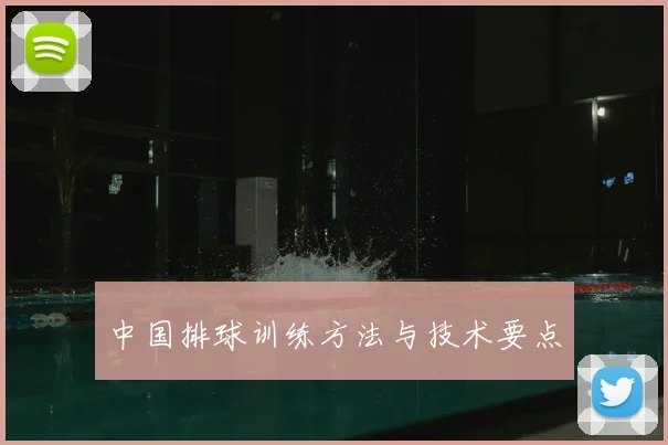 中国排球训练方法与技术要点