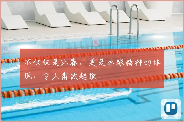 不仅仅是比赛,更是冰球精神的体现,令人肃然起敬!