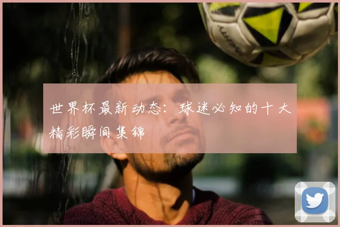 世界杯最新动态:球迷必知的十大精彩瞬间集锦