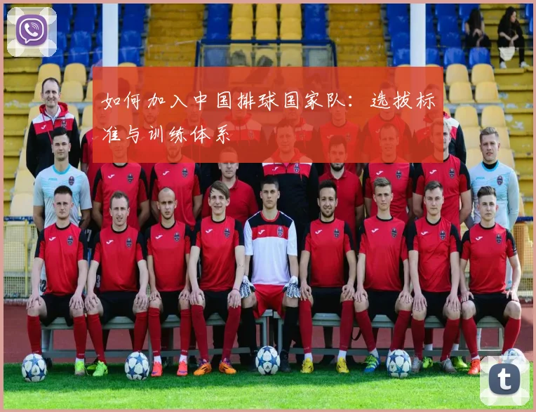 如何加入中国排球国家队:选拔标准与训练体系